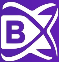 BlockchainX