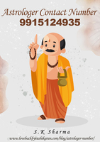 Astrologer Contact Number