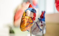 Cardiologist Singapore