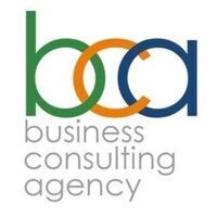 Business Consulting Agency