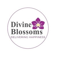 Divine Blossoms Orchid Boutique
