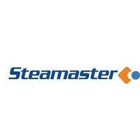 Carpet Steam Cleaner