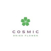 cosmicdriedflower