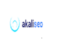 Akali SEO
