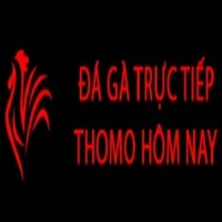 đá gà trực tiếp thomo hôm nay