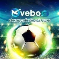 bdvebotv