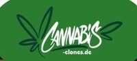 cannabis-clones