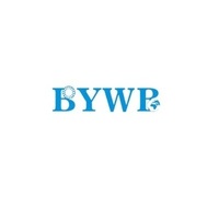 BYWB Bearing