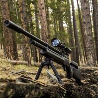 airgun_capital