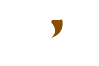 Bet Bhai