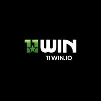 11WIN IO