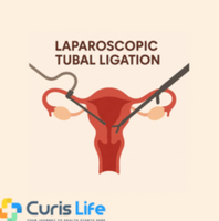 curislife0