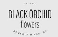 Black Orchid Flowers