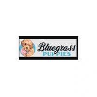 Bluegrass Puppies