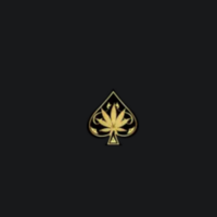 Ace Ultra Premium